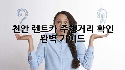 천안 렌트카 주행거리 확인: 완벽 가이드