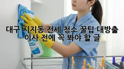 대구 시지동 전세 청소🧹 꿀팁 대방출! 이사 전에 꼭 봐야 할 글 ✨